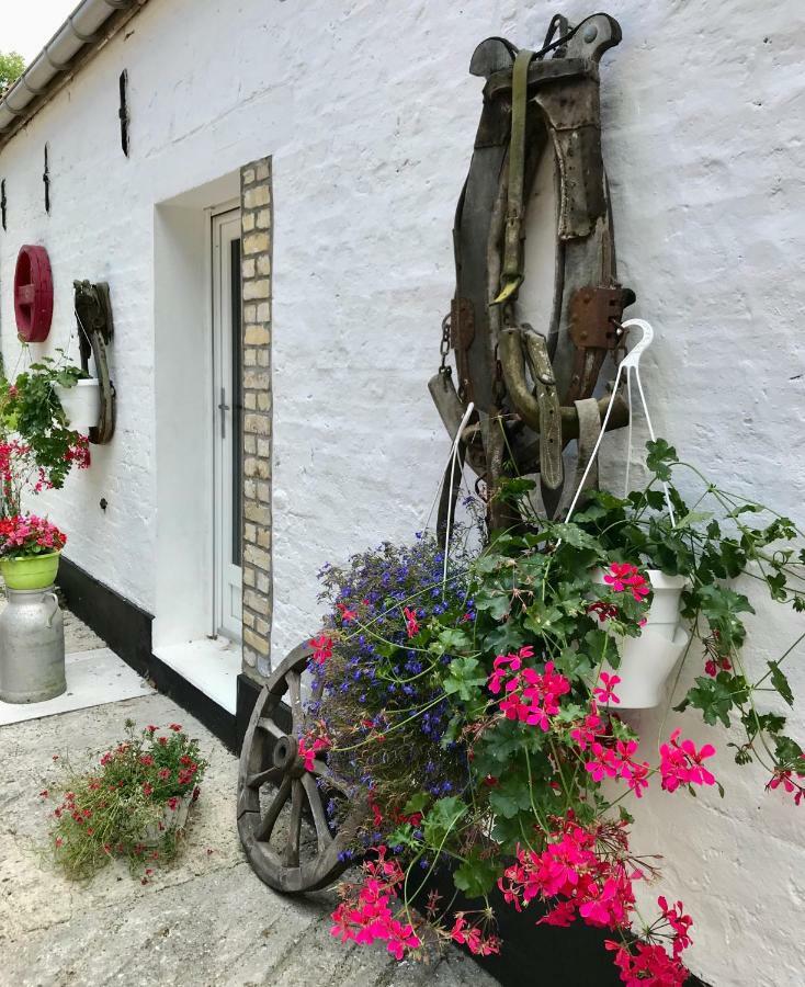 Hostal La Ferme Wessiere Oye-Plage Exterior foto